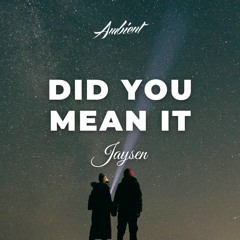 Jaysen - Did You Mean It