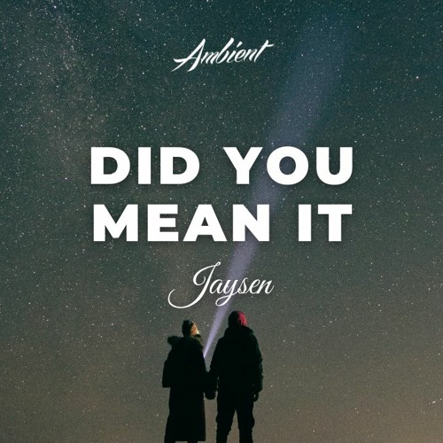 Jaysen - Did You Mean It