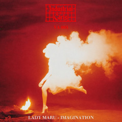 Imagination