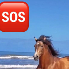 SOS HORSE prod.j-lien