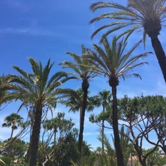 LockdownLive - Session Two