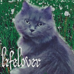 😿