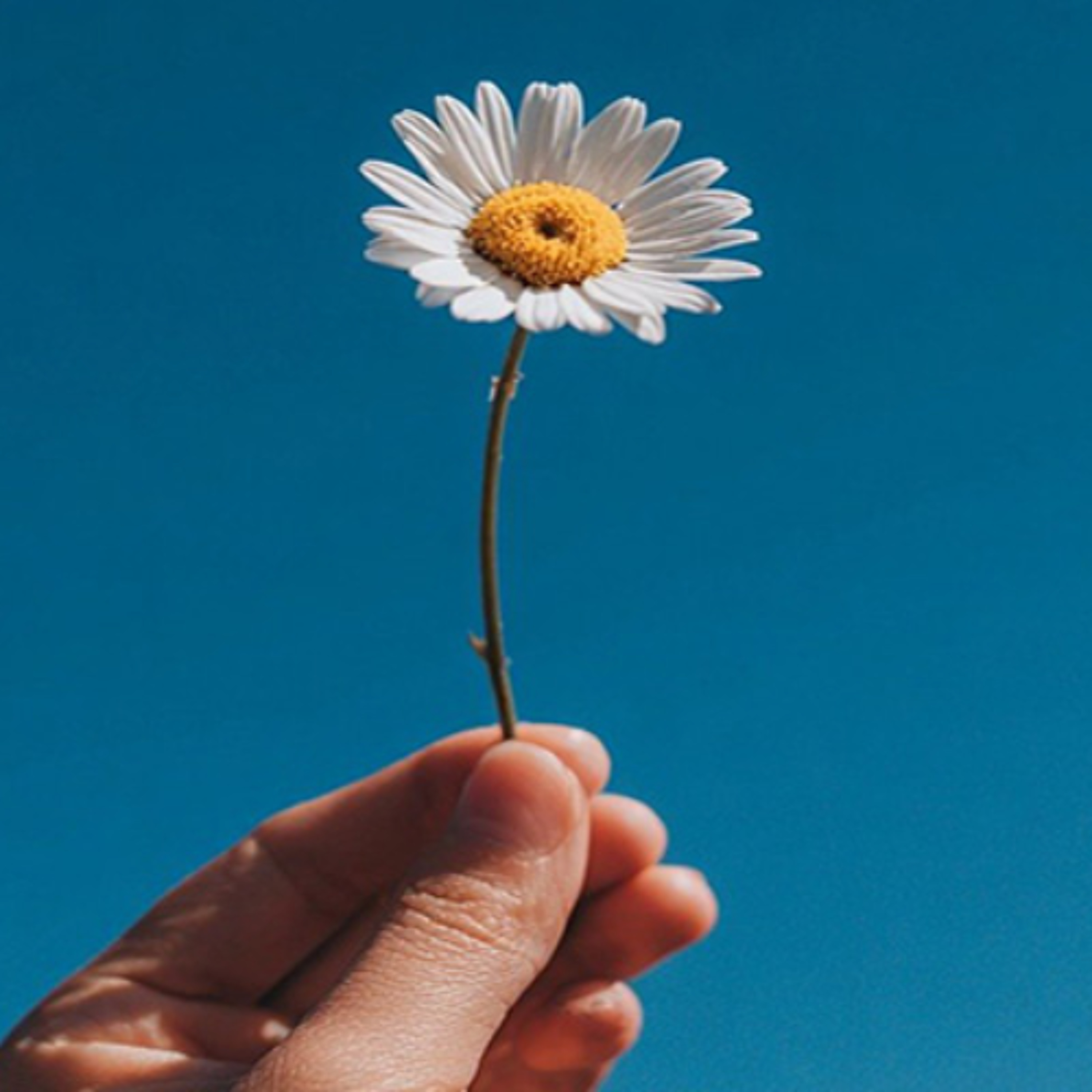 Food for the soul - Embrace the beauty of simplicity - Helena Foggett – 16/1/26 episode artwork