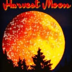 Harvest Moon