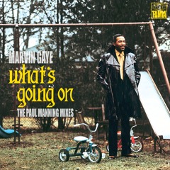 MARVIN GAYE - WHAT’S GOING ON (THE PAUL MANNING MIXES)