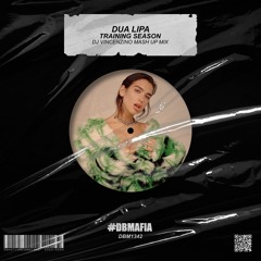 Dua Lipa - Training Season (Dj Vincenzino Mash Up Mix)