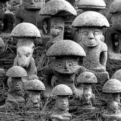 cold in the forest, on mushies