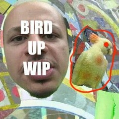 BIRD UP WIP
