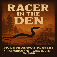 Racer in the Den