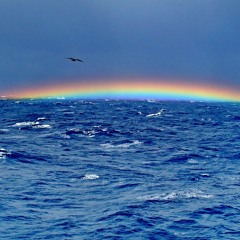 Peace In The Eye Of The Storm - Demo, Original