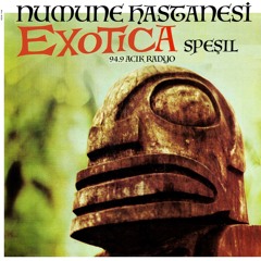 Numune Hastanesi #53 Exotica Special aired 2019 11 12