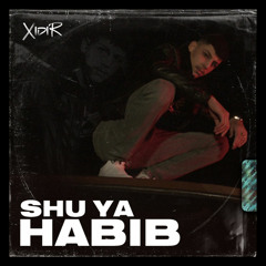 Xidir - Shu ya habib ​(1.1x Sped up + Reverb)