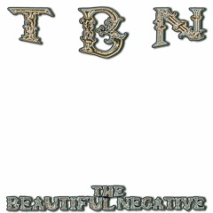The Beautiful Negative - Cluster One protoype