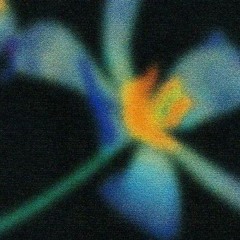 florecer (demo 2023)