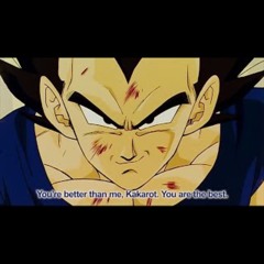 You're better than me, Kakarot. You are the best - Vegeta