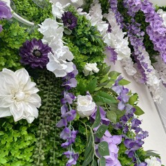 demos and throwaways