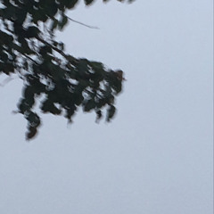 Why This Chapter: 01 Do U Love Ok?(prod. greyera)