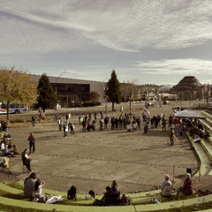 Armistice Day | Melissa Chaudhry speech at Tollefson Plaza, Tacoma WA 11/11/25
