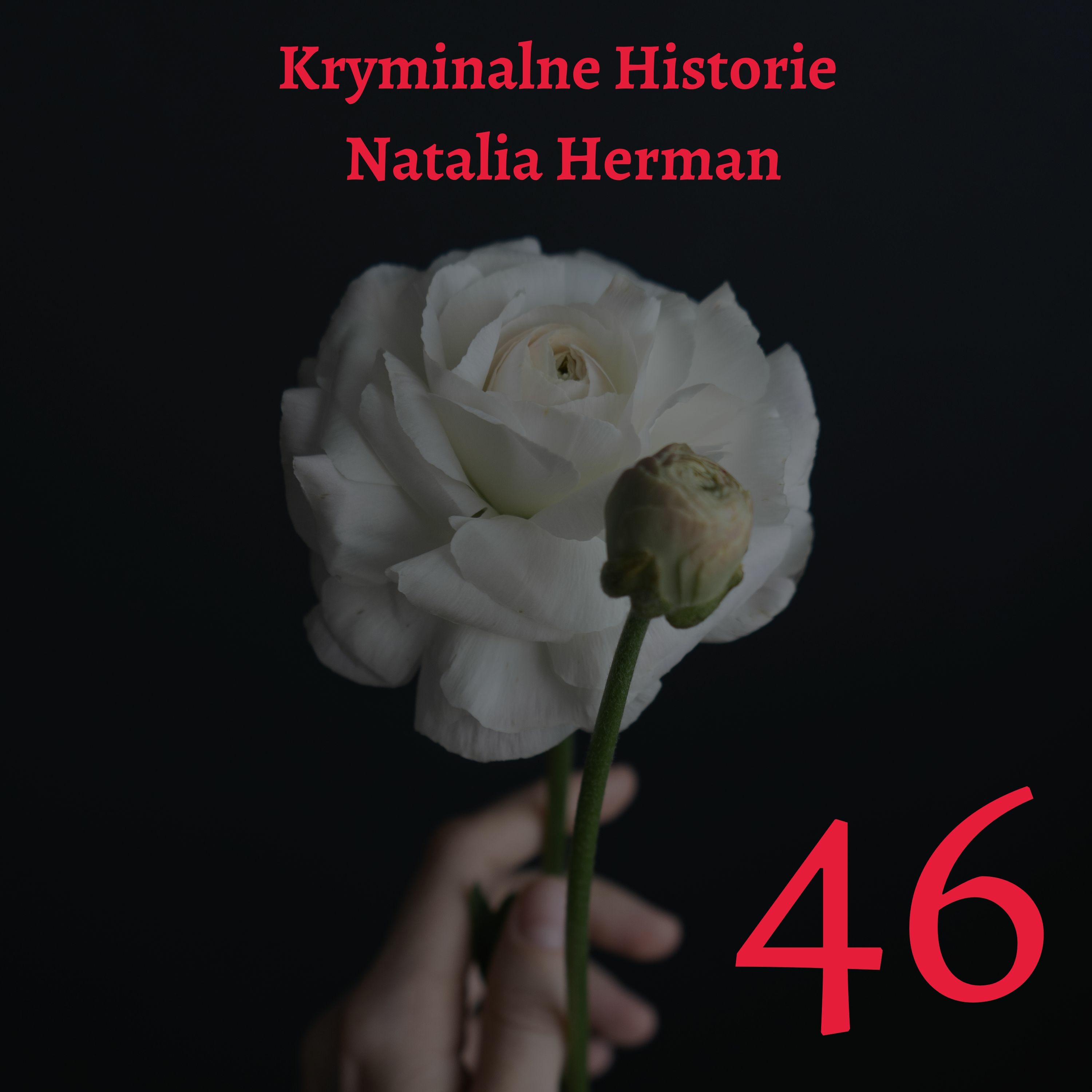 Natalia Herman Kryminalne Historie