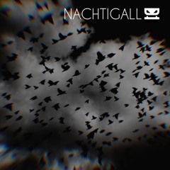 Nachtigall (Original Mix)