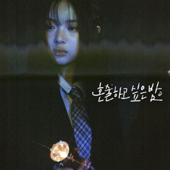 하니 (뉴진스) - 혼술하고 싶은 밤 (AI Cover)