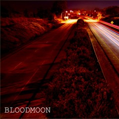 I like to walk in the middle of a freeway for fun