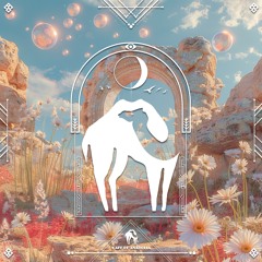 Anthony Bassoulou, Josho (AE) - Dalain [Cafe De Anatolia]