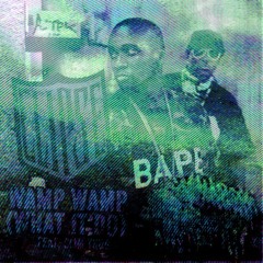 Wamp Wamp - Download History Remix
