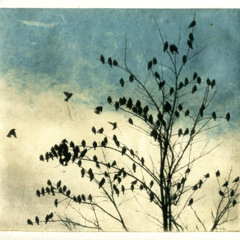 империя зла - птицы тоже улетают далеко