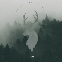 Felix Ziegler - Spiritual Beings