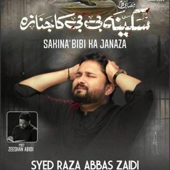 Sakina Bibi Ka Janaza  Syed Raza Abbas Zaidi  Nohay 2022  Muharram 2022 - 1444  Bibi Sakina