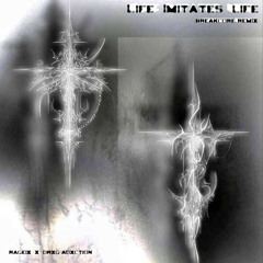 Life imitates life - breakcore remix