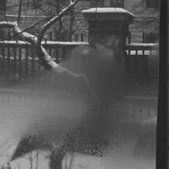 silence / Josef Sudek