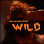 Artwork for Wild