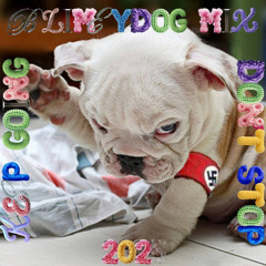 Blimeydog Mix