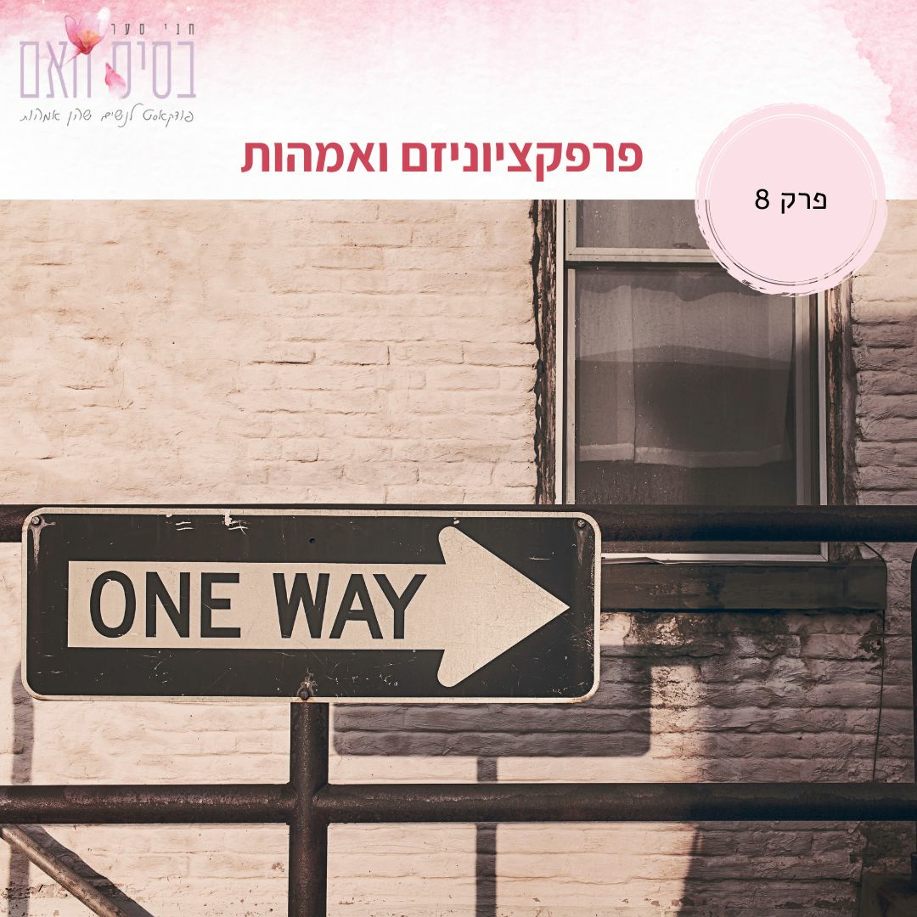 בסיס האם 8- פרפקציוניזם ואמהות episode artwork