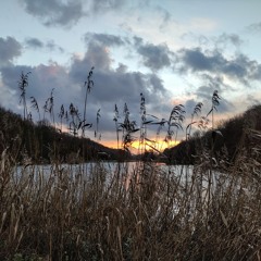 Evening Sky