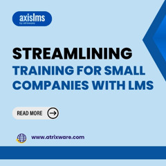Streamlining Training for Small Companies with LMS Solutions