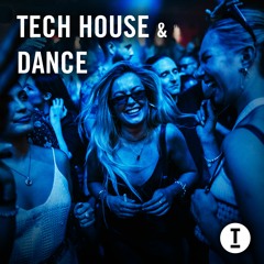 Tech House & Dance 2024 - DJ Mix