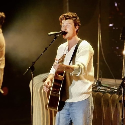 shawn mendes (rare + unreleased)