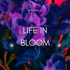 Life in Bloom
