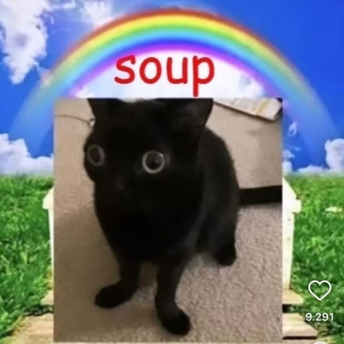 *insert funny playlist name here*