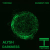 Video herunterladen: Alysh - Darkness (Original Mix)