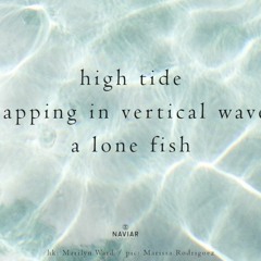 High Tide  ( Naviarhaiku 430 )
