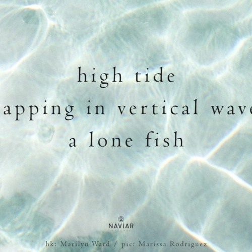 High Tide  ( Naviarhaiku 430 )
