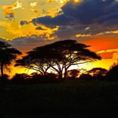 New Set (Suzon) ACIDimencion 160*170 bpm