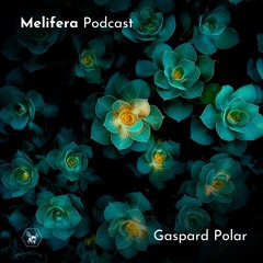 Melifera Podcast ⬡ Gaspard Polar