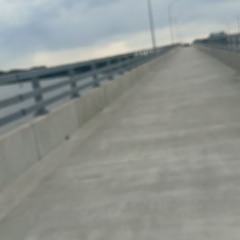 TheBatBridge