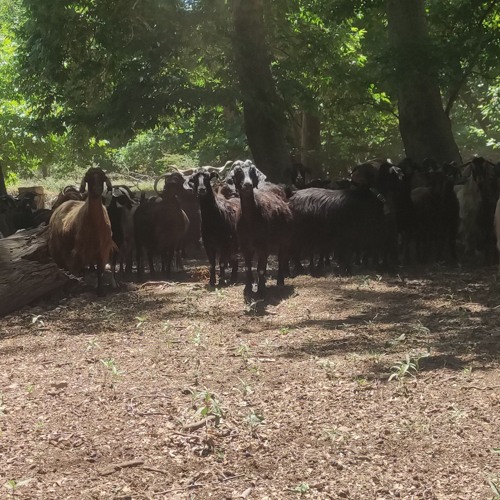 Scouting erroRave - SKG AREA 16062024 dj set