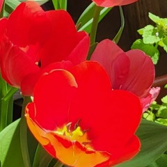 Drone Wars (demo) 01.20.24